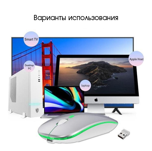 Мышь беспроводная бесшумная с подсветкой 2 в 1 Орбита OT-PCM66 Серая