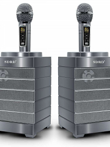 SDRD SD-128 Серая Караоке система (2 микр, Bluetooth 4.2) МЯТАЯ УПАКОВКА