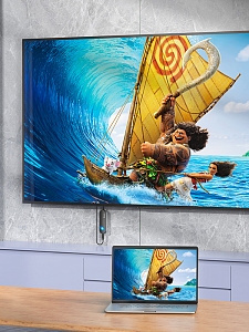 HOCO UA23 Черный Wi-Fi видео видеоадаптер 4К/30Гц (штекер HDMI - гнездо TYPE-C) 0.5м