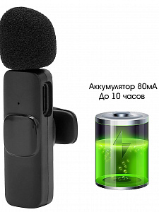 Микрофон беспроводной для смартфона Type-C Орбита OT-SML02