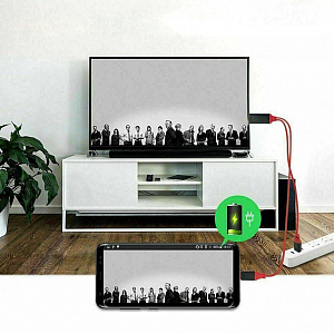 Орбита OT-AVW49 кабель (штекер HDMI - штекер TYPE-C) 2м