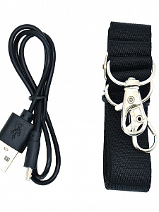 Орбита OT-SPB85 Золото колонка BT