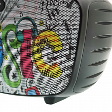 SDRD SD-314 Черная Караоке система (2 микр, Bluetooth 4.2)