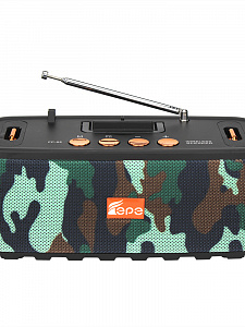 Fepe FP-88 радиоприёмник аккумуляторный (USB,TF,Bluetooth)