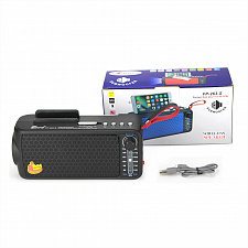 Fepe FP-263-S  радиоприёмник аккумуляторный (USB,TF,Bluetooth, солнч. панель)