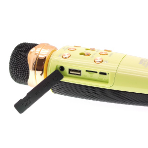 WSTER WS-2011 Зеленый микрофон беспроводной (Bluetooth, динамики, USB)