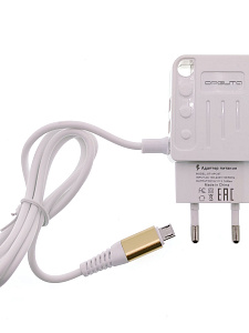 Орбита OT-APU37 ЗУ с 2*USB + кабель Micro USB (5В, 2400mA)
