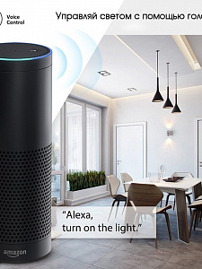 Умный выключатель с Алисой одноклавишный Wi-Fi 10A Орбита OT-HOS12