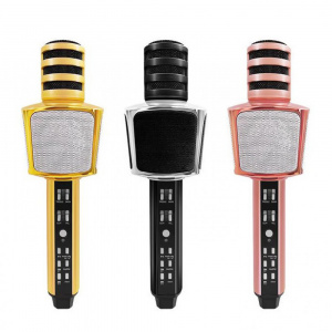 SDRD SD-17 Микрофон (Bluetooth, динамики, USB)