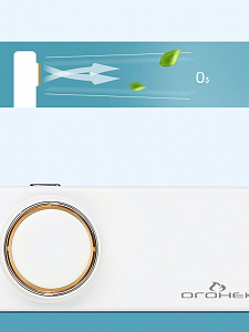 Поглотитель, нейтрализатор запаха для холодильника, авто, шкафа Огонек OG-HOG0