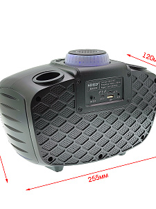 SDRD SD-314 Черная Караоке система (2 микр, Bluetooth 4.2)