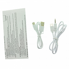 WSTER WS-898 Черный микрофон беспроводной (Bluetooth, динамики, USB)