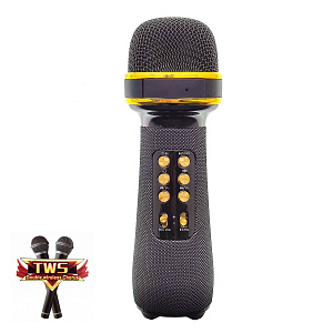 WSTER WS-898 Черный микрофон беспроводной (Bluetooth, динамики, USB)