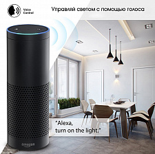 Умный выключатель с Алисой двухклавишный Wi-Fi 10A Орбита OT-HOS12