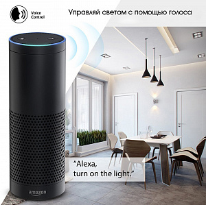 Умный выключатель с Алисой двухклавишный Wi-Fi 10A Орбита OT-HOS12