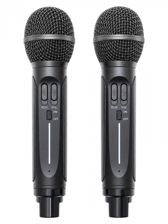 SDRD SD-314 Черная Караоке система (2 микр, Bluetooth 4.2)