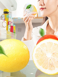 Поглотитель, нейтрализатор запаха для холодильника, авто, шкафа Огонек OG-HOG0