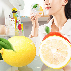 Поглотитель, нейтрализатор запаха для холодильника, авто, шкафа Огонек OG-HOG0