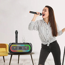 Орбита OT-ERM14 Черная караоке система с RGB подсветкой (2 микр, Bluetooth 5.0)