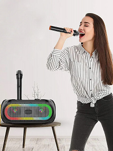 Орбита OT-ERM14 Черная караоке система с RGB подсветкой (2 микр, Bluetooth 5.0)