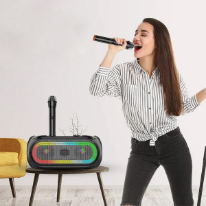 Орбита OT-ERM14 Черная караоке система с RGB подсветкой (2 микр, Bluetooth 5.0)