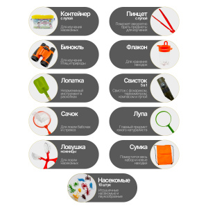 Набор для изучения насекомых юный натуралист Орбита OT-TRN01