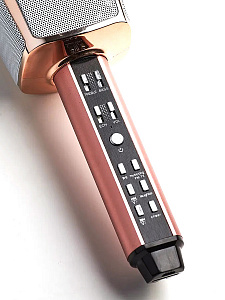 SDRD SD-17 Микрофон (Bluetooth, динамики, USB)