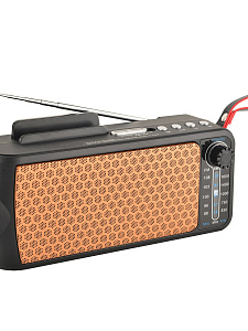 Fepe FP-263-S радиоприёмник аккумуляторный (USB,TF,Bluetooth, солнч. панель)