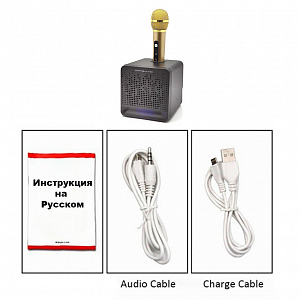 Орбита OT-ERM08 Черная Караоке система (1 микр, Bluetooth 4.2)