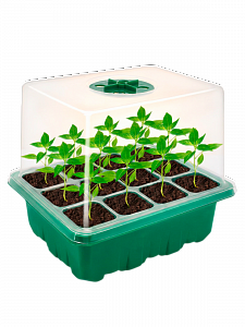 Набор мини парников 5шт комплект из 12 ячеек, с фитолампой внутри Огонек OG-LDP52