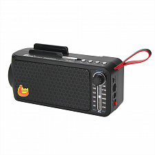 Fepe FP-263-S  радиоприёмник аккумуляторный (USB,TF,Bluetooth, солнч. панель)