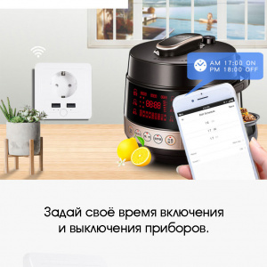 Умная розетка с USB Wi-Fi 16A Орбита OT-HOS15