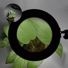 Лампа настольная с лупой и подсветкой для работы 10х Орбита OT-INL90 Черная