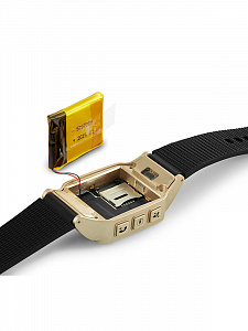 GP-06 НЕ РАБОТАЕТ ПРОГРАММА Серебро Часы с GPS