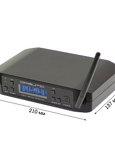 Орбита OT-ERM13 Набор беспроводных микрофонов (2шт,220В)