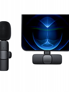 Микрофон беспроводной для смартфона Type-C Орбита OT-SML02