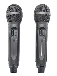 SDRD SD-314 Черная Караоке система (2 микр, Bluetooth 4.2)