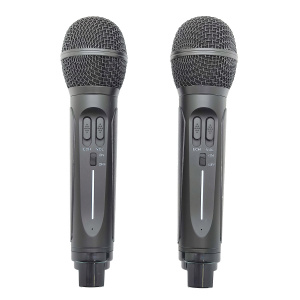 SDRD SD-314 Черная Караоке система (2 микр, Bluetooth 4.2)