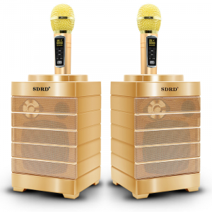 SDRD SD-128 Золото Караоке система (2 микр, Bluetooth 4.2) МЯТАЯ УПАКОВКА