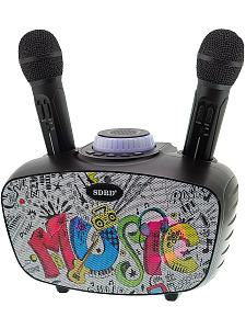 SDRD SD-314 Черная Караоке система (2 микр, Bluetooth 4.2)