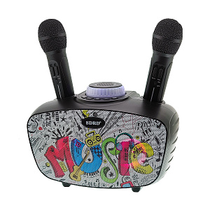 SDRD SD-314 Черная Караоке система (2 микр, Bluetooth 4.2)