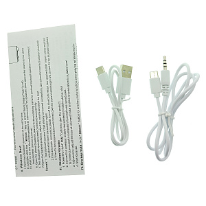 WSTER WS-898 Красный микрофон беспроводной (Bluetooth, динамики, USB)