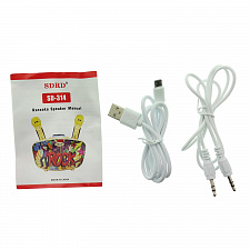 SDRD SD-314 Черная Караоке система (2 микр, Bluetooth 4.2)