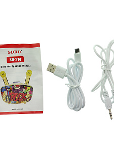 SDRD SD-314 Черная Караоке система (2 микр, Bluetooth 4.2)