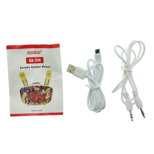 SDRD SD-314 Черная Караоке система (2 микр, Bluetooth 4.2)