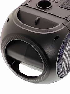 Орбита OT-ERM14 Черная караоке система с RGB подсветкой (2 микр, Bluetooth 5.0)