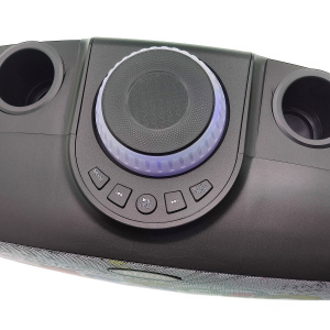 SDRD SD-314 Черная Караоке система (2 микр, Bluetooth 4.2)