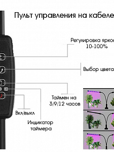 Фитолампа для растений с таймером на прищепке Огонек OG-LDP08