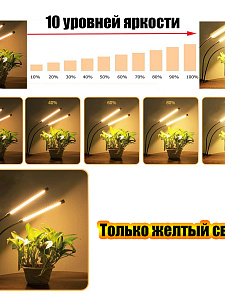 Фитолампа для рассады с таймером на прищепке Огонек OG-LDP20W