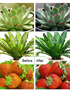 Фитолампа для растений с таймером на прищепке Огонек OG-LDP08